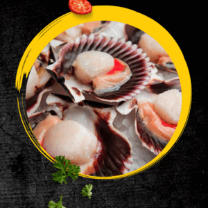 Ostión en Media Concha