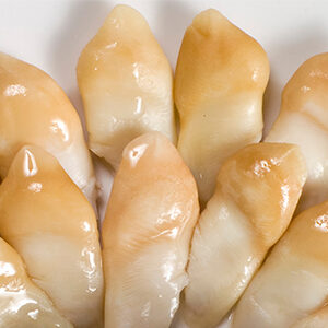 Lengua de Navajuela Cocida