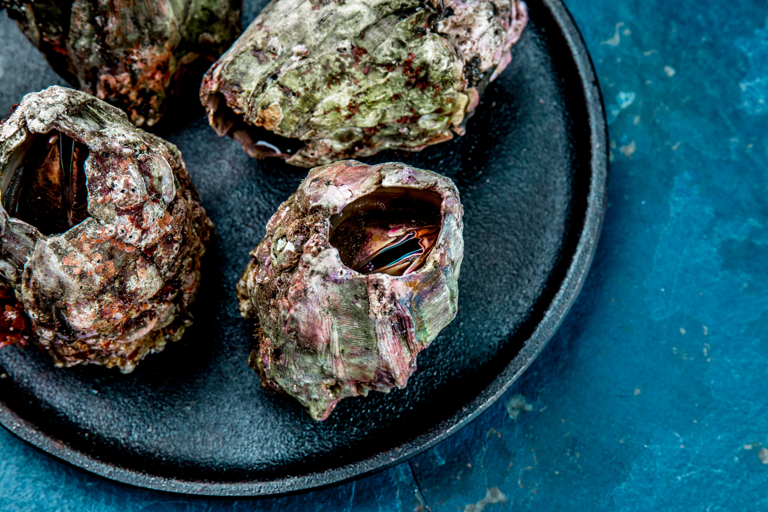 Picoroco Cocido - Imagen 3