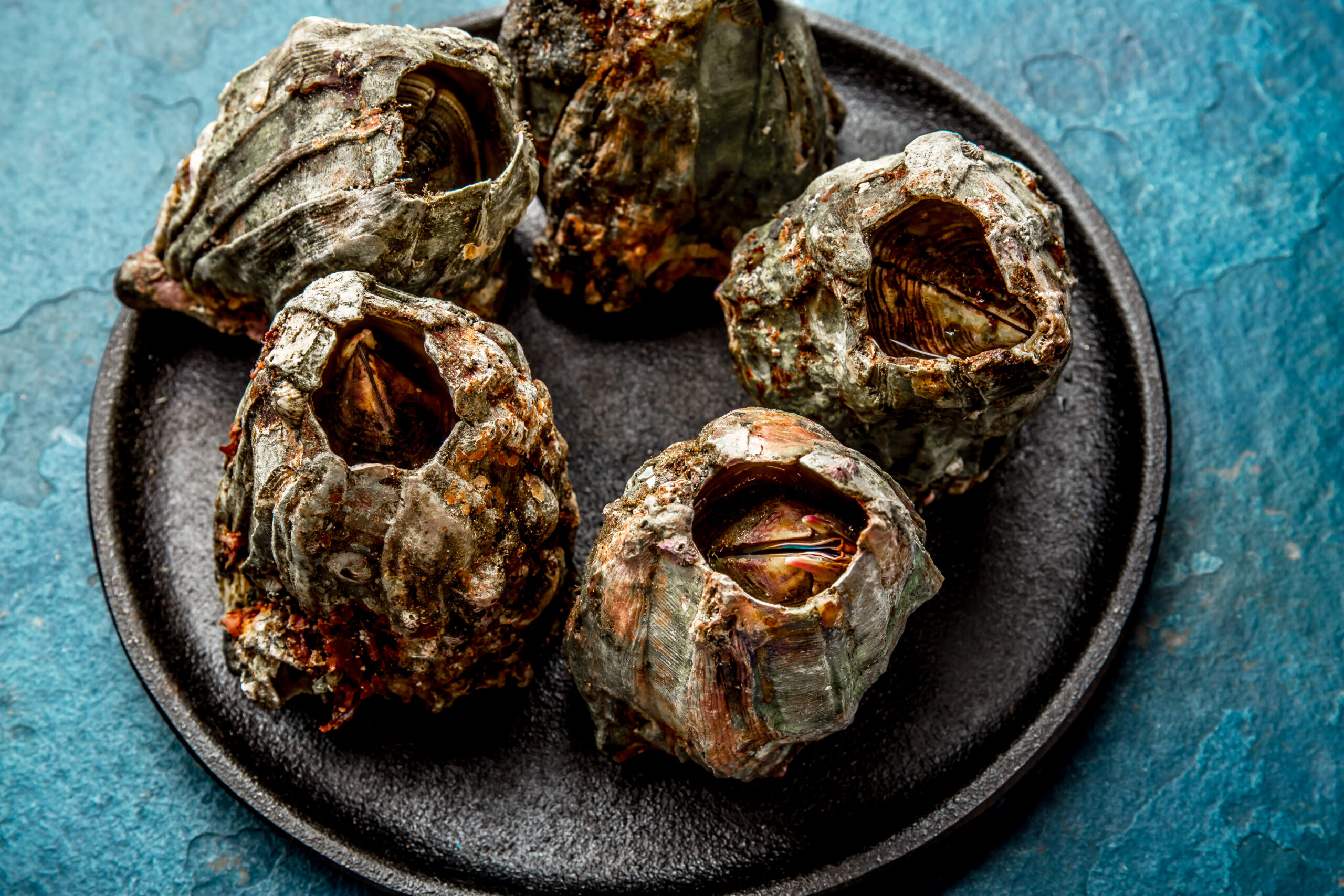 Picoroco Cocido - Imagen 2